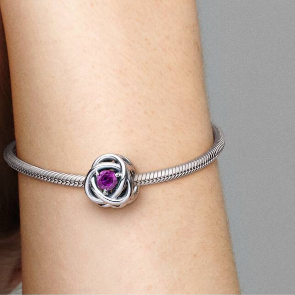 Pandora February Purple Eternity Circle Charm Sterling Silver